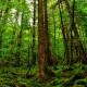 【重庆疫情最新消息今天新增了15例,重庆疫情最新情况最新消息今天】