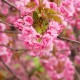 【北京海淀疫情,北京海淀 疫情】