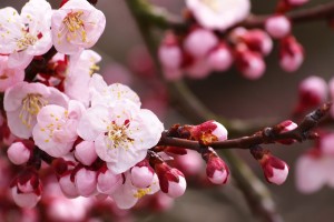广东新增本土确诊病例5例(广东新增本土确诊10例轨迹)