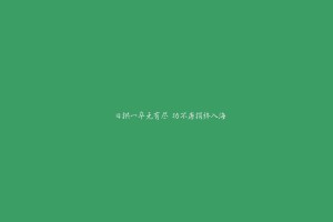 【哈尔滨新增,哈尔滨新增17处电子眼】