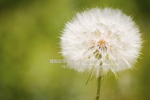 31省区市新增12例境外输入病例/31省区市新增境外输入8例 新闻