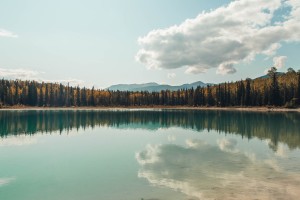 包头最新疫情(包头疫情最新消息多少例?)