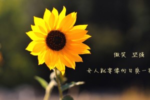 唐山疫情最新数据消息/唐山疫情最新报道