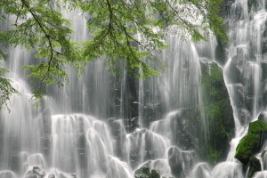 【黑龙江新增4例确诊,黑龙江新增4例确诊病例活动轨迹】