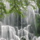 北京朝阳一地调整为高风险/北京朝阳被列为高风险区域