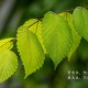【28号之前返乡需要核酸检测吗,28号以前返乡需要做核酸检测吗】