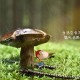 天津新增4例本土阳性/天津新增4例本土确诊