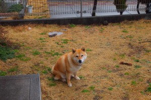 江苏新增本土确诊病例4例/江苏新增本土确诊病例38例