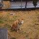 江苏新增本土确诊病例4例/江苏新增本土确诊病例38例