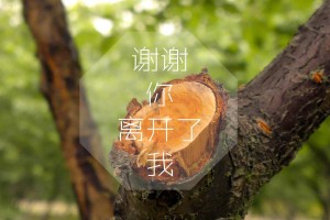31省份新增本土病例97例:河南60例/31省份新增本土病例97例河南60例 翻译