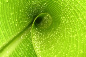 【最新疫情云南,最新云南疫情通报】