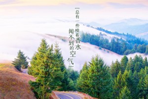 辽宁新增9例本土确诊病例(辽宁新增几例本土确诊病例)