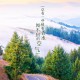 上海新增6例本土确诊(上海新增6人)