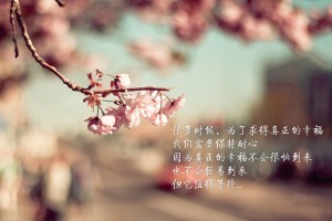 上海新增境外输入病例5例/上海 新增 境外输入