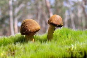 疫情最新数据消息中高风险地区名单(疫情最新数据消息 中高风险地区)