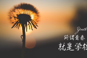 【北京限号2021年4月最新限号表,北京限号2021年4月最新限号几点到几点】