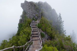 莆田现6例确诊(莆田确诊几例)