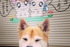 【陕西6例初筛阳性待复核,陕西检测阳性】