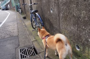 31省区市新增本土确诊94例(31省区市新增确诊54例 本土41例)