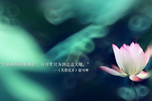 北京新增22例/北京新增27例